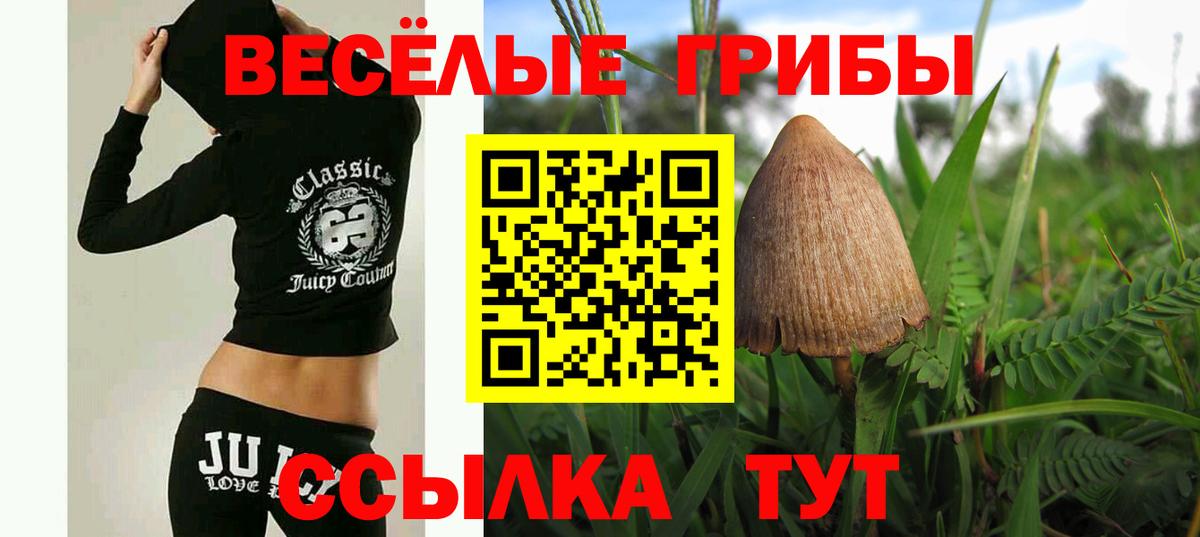 Псилоцибиновые грибы GOLDEN TEACHER Ноябрьск